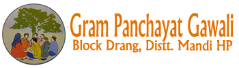 Gram Panchayat Gawali